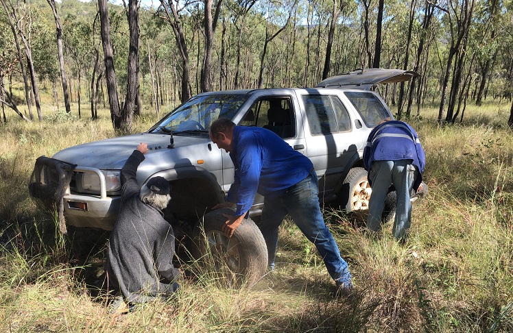 Eidsvold Bushland